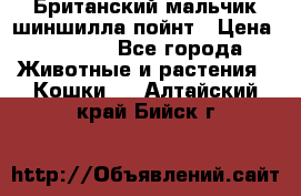 Британский мальчик шиншилла-пойнт › Цена ­ 5 000 - Все города Животные и растения » Кошки   . Алтайский край,Бийск г.